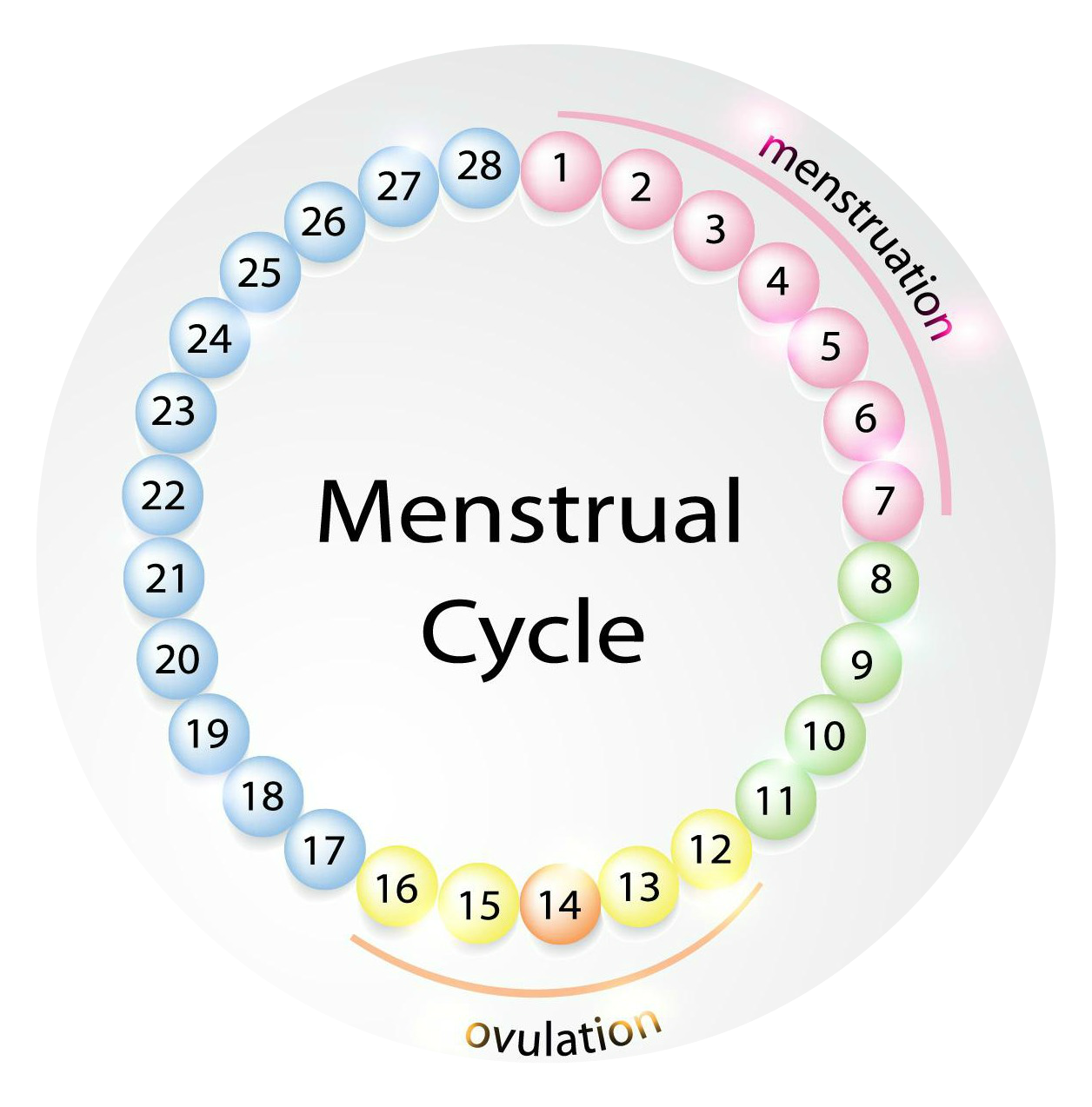 Месячные цикл. Менструальный цикл. Рисунок менструационного цикла. Пиктограмма менструационного цикла. Menstrual Cycle.